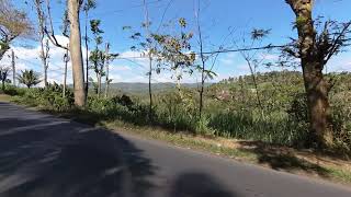 Video Download