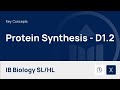 Mastering Protein Synthesis: From DNA to Functional Proteins