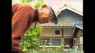 日本一長寿の島(志々島)03