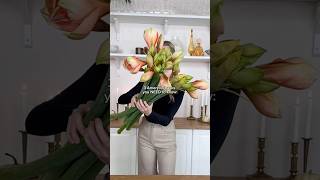 3 Amaryllis Hacks You Need To Know