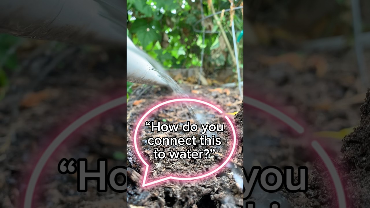 Uploads from From Seed to Spoon Garden Planning App