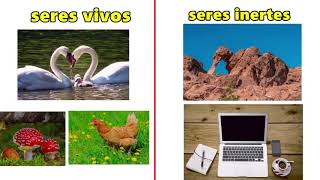 Seres vivos y seres inertes. Seres vivos y seres inertes.