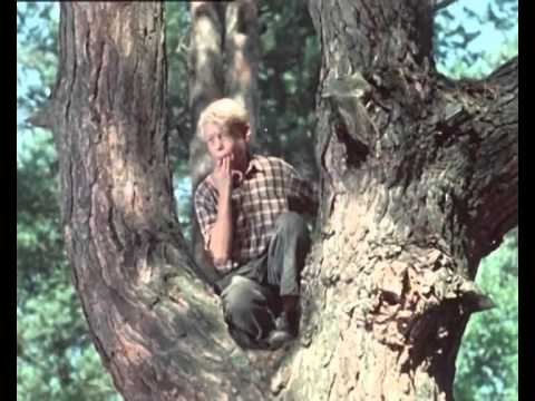 1956 Серый разбойник