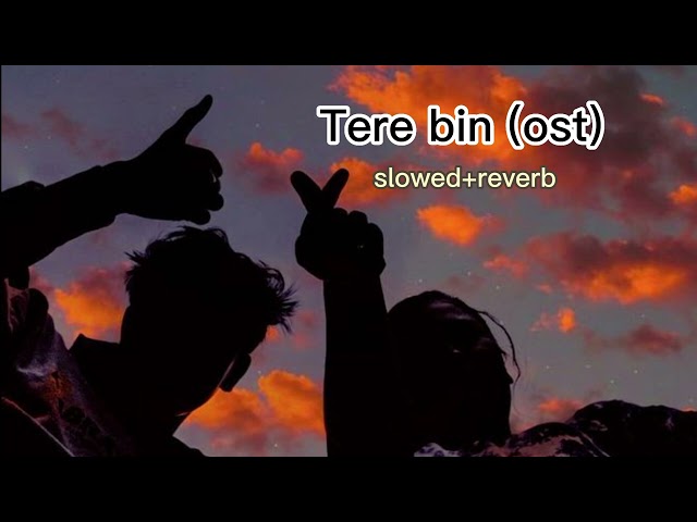 #Terebin ost(Slowed + reverb) #wahajali#yumnazaididrama class=