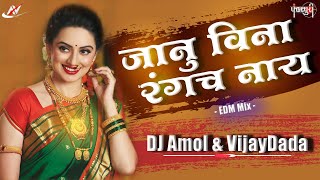 Janu Vina Rangach Nahi  EDM VS Halagi DJ Amol   VijayDada