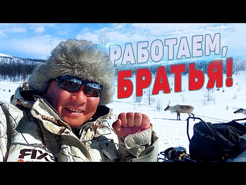 РАБОТАЕМ, БРАТЬЯ!