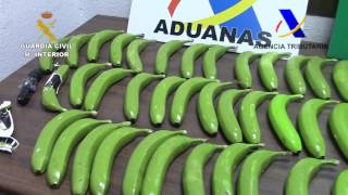 Spanish Authorities Seize Cocaine Hidden in Fake Bananas