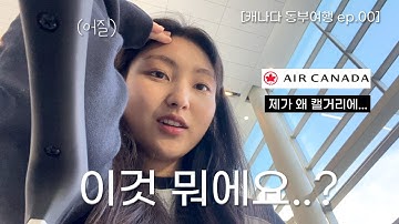 🇨🇦몬트리올 가던 비행기가… 갑자기 캘거리로 유턴했어요..🤦‍♀️✈️| 에어캐나다 비행기 보상 [EP.00 캐나다 동부여행 ]
