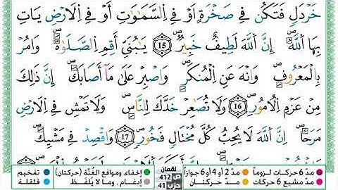 سورة لقمان القارئ حسن صالح برواية ورش عن نافع 
