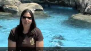 AAZK Sea Lion Keeper Chat