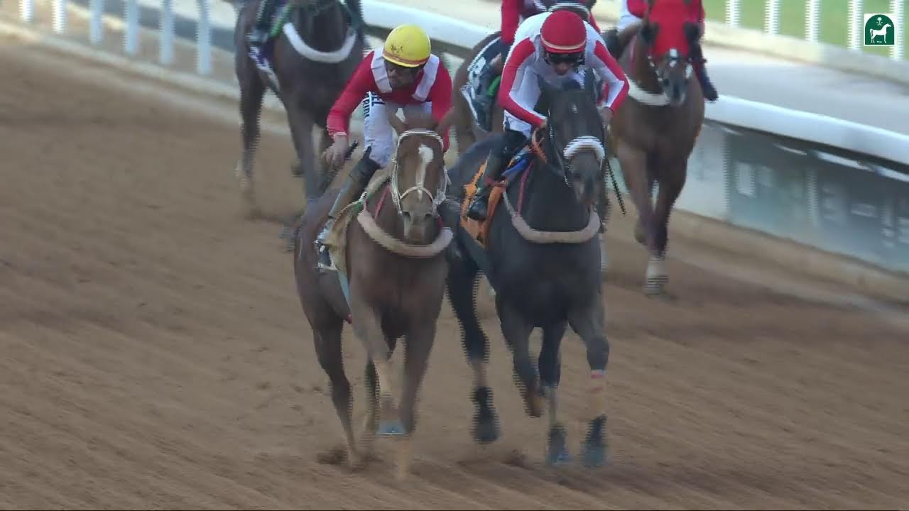 JCSA: النقل المباشر للحفل 84 موسم سباقات الرياض 2025