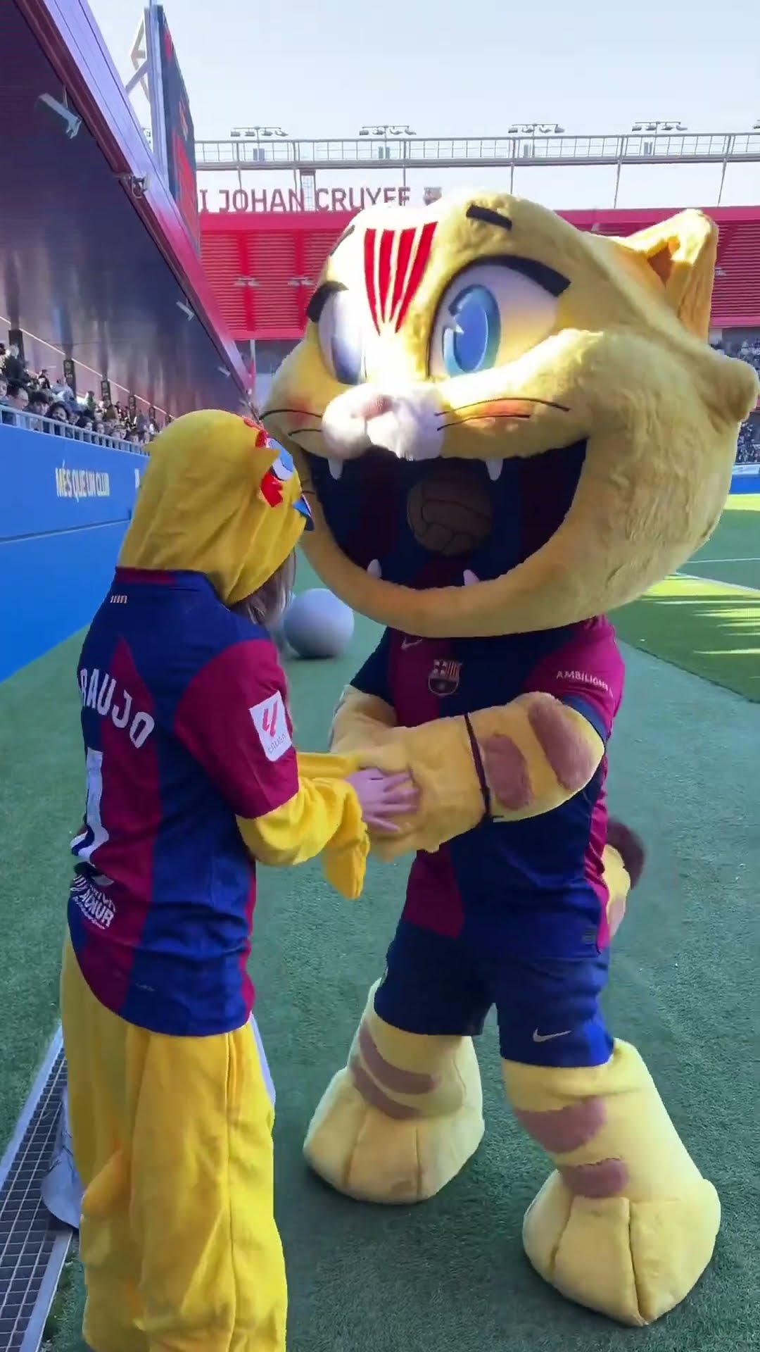 ? Cat with its first fan! #shorts #fcbarcelona #cat