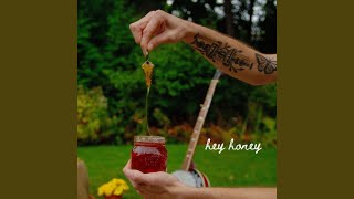 Video thumbnail of "The Way Down Wanderers - Hey Honey"