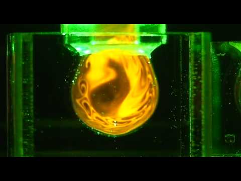 flow visualization around aneurysm model
