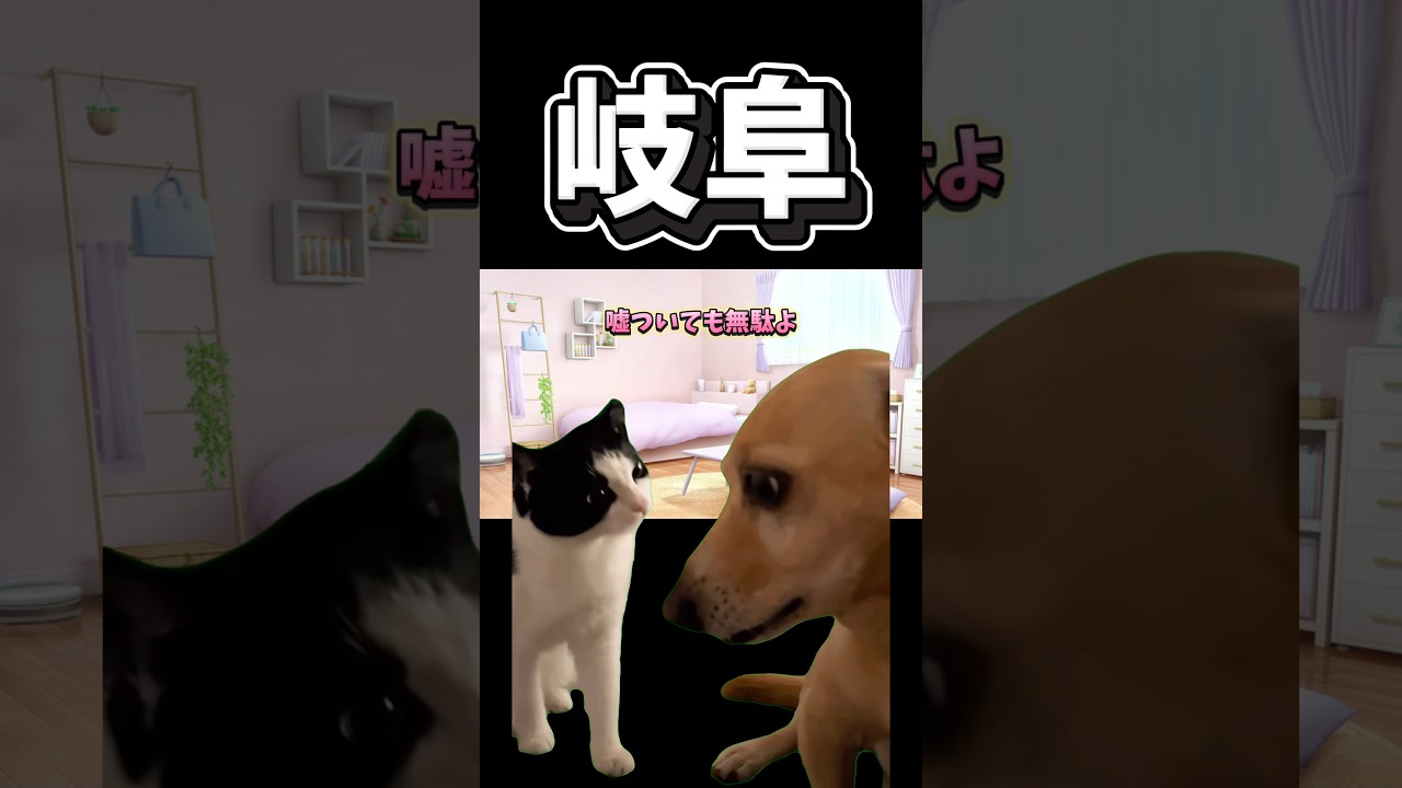 【猫ミーム】岐阜