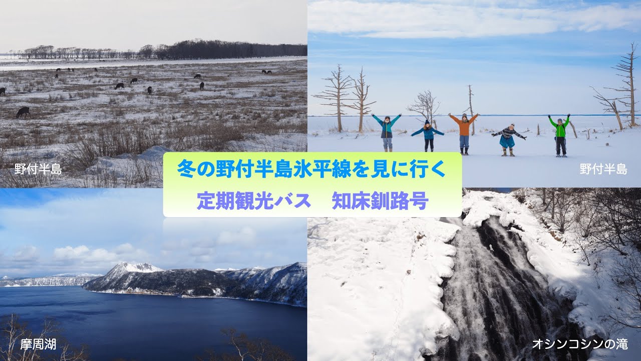 【冬の野付半島を見に行こう！】ガイド付き 定期観光バス 知床釧路号