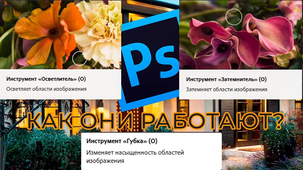 Инструменты в Фотошоп (Photoshop) Осветлитель, Затемнитель, Губка - YouTube