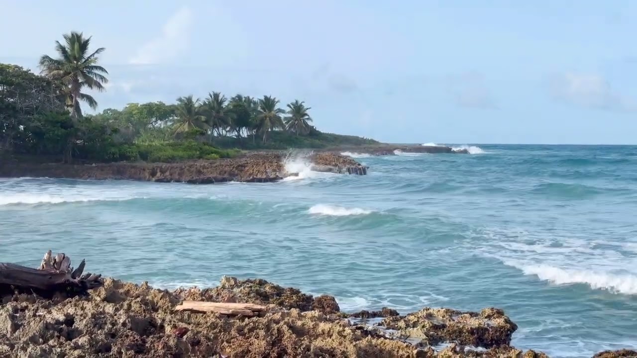 10 HOURS🌊 Relaxing Ocean Waves for Sleep Study and Deep Focus #Relax #Sleep #Ocean #Therapy #Waves 