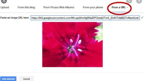 HOW TO INSERT A IMAGE IN BLOGGER WITH LINK WITHOUT DOWNLOADING THE IMAGE ON YOUR DESKTOP | IN HINDI