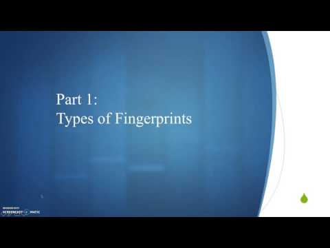Fingerprint Analysis Part 1: Types of Fingerprints