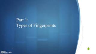 Fingerprint Analysis Part 1: Types of Fingerprints