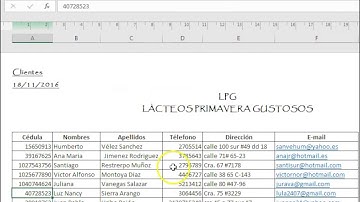 Video Tutorial Manejo de Tablas Dinámicas y Macros