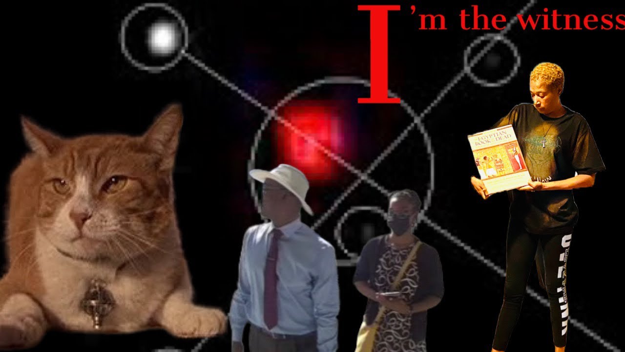 Florida walk and talk in the matrix - YouTube