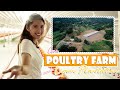 Welcome To Our Farm! (Poultry Farm + Lemon Plantation) | Ysabel Ortega Mp3 Song