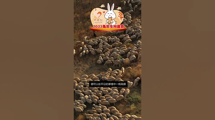 你知道生肖(羊🐐)在2023年運勢會怎樣？ - 天天要聞