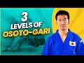 3 levels of osoto gari