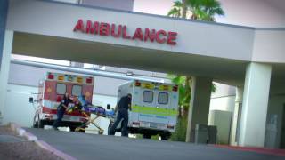 EMS Software & Services by AIM