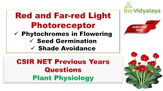 Red and Far-Red Light Effect on Seed germination | PHYTOCHROME | SDP & LDP | With Practice Questions