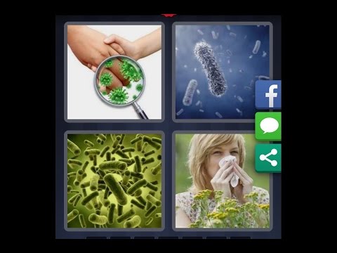 4 images 1 mot solution 8 lettres niveau 471