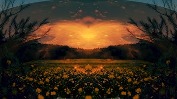 Qu-Bit Electronix Data Bender, Surface, Rossum Electro-Music Mob Of Emus, 2HP Pluck...