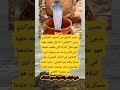 عصير النخيل في الجنوب الجزائري يدعى اللاقمي إذا كان طعمه اكسبلور امريكا معلومات القزابري