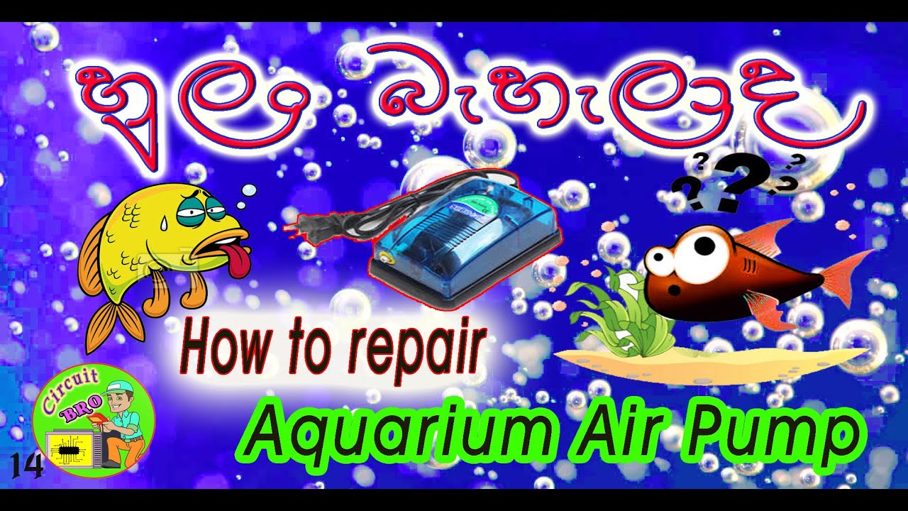 How to Repair Aquarium Air Pump Oxygen pump Repair Air Pump Repair
