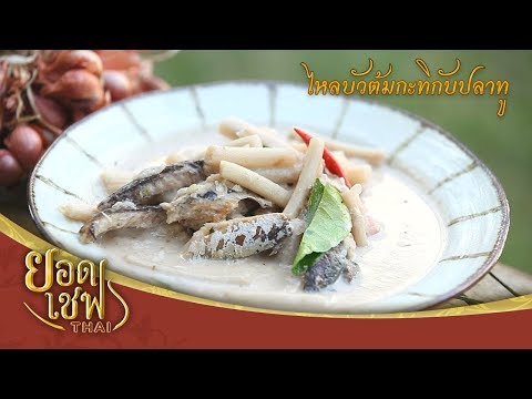 ไหลบัวต้มกะทิกับปลาทู | ยอดเชฟไทย (Yord Chef Thai 19-05-19)