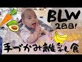 【BLW】驚くほど食べる！手づかみ離乳食 The baby eats surprisingly at the second day of BLW.
