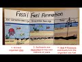 The Importance And Formation Of Sedimentary Rocks