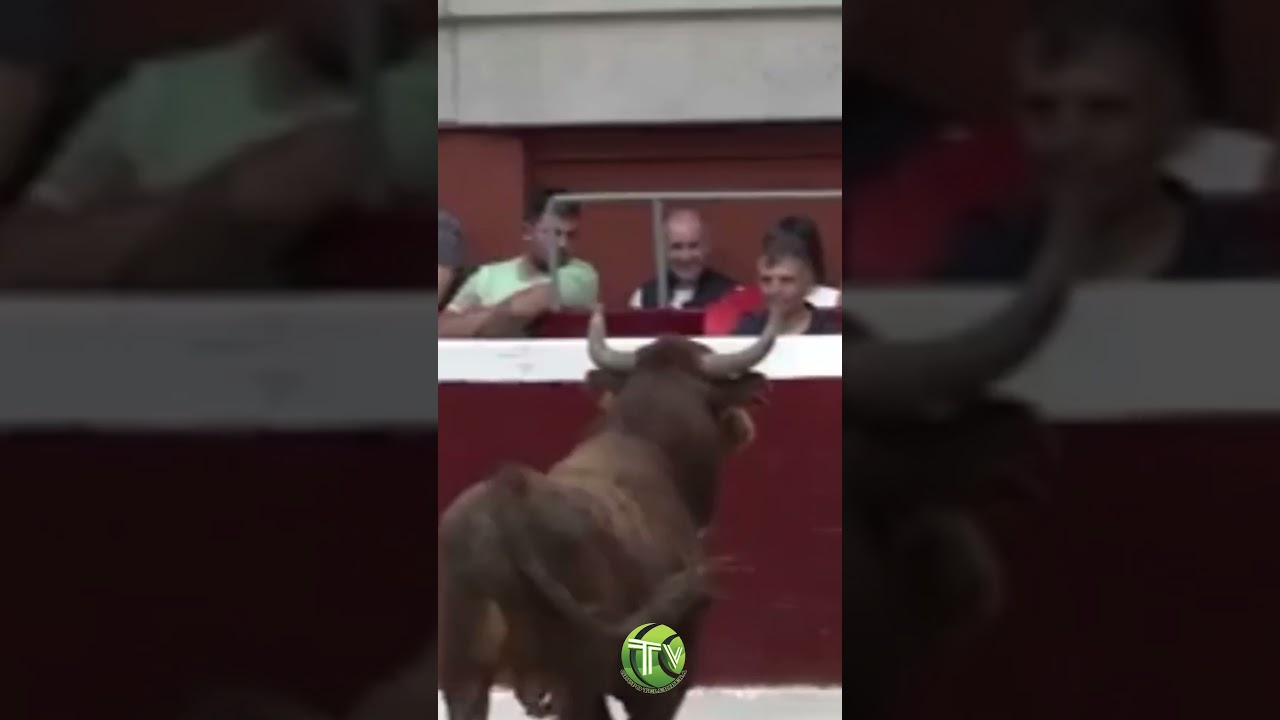 😲 Espectacular TORO de ARRIAZU que no da TREGUA!