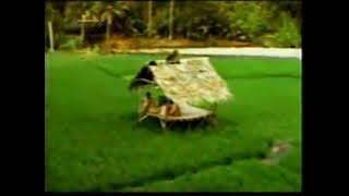 Station ID RCTI versi Sawah (2006 - 2008) 15' | reedit