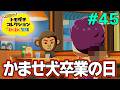 【実況】人生初のトモコレを全力で楽しんでいく！#45【トモダチコレクションわくわく生活】【Switch2】【ぽんすけ】