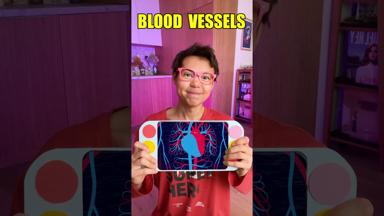 Let S Learn What Hiding Inside Our Body Kidsvideo Learning