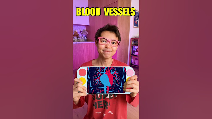 Let's Learn What's Hiding Inside Our Body 🧠❓ #kidsvideo #learning