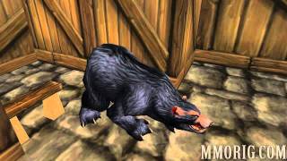 Hunter - Pet Summon Macro - MMORig.com
