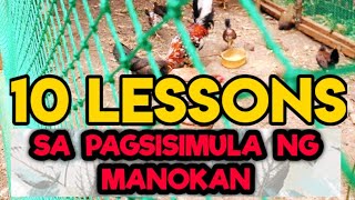 10 Lessons sa Pagsisimula ng Manokan | Free-range chicken | Practical Lessons