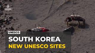 South Korea heritage sites: Four more wetland areas proposed for UNESCO list screenshot 2