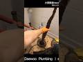 Pulled the Toilet and Found Tree Roots Growing into the Flange #draincleaning #大禹管道 #plumbingtime