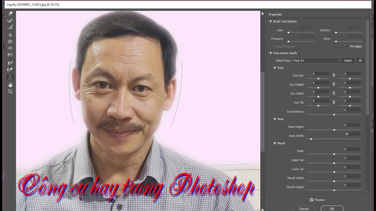 photoshop liquify tool options