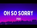 PVLN - Oh So Sorry (Lyrics) "Girl I